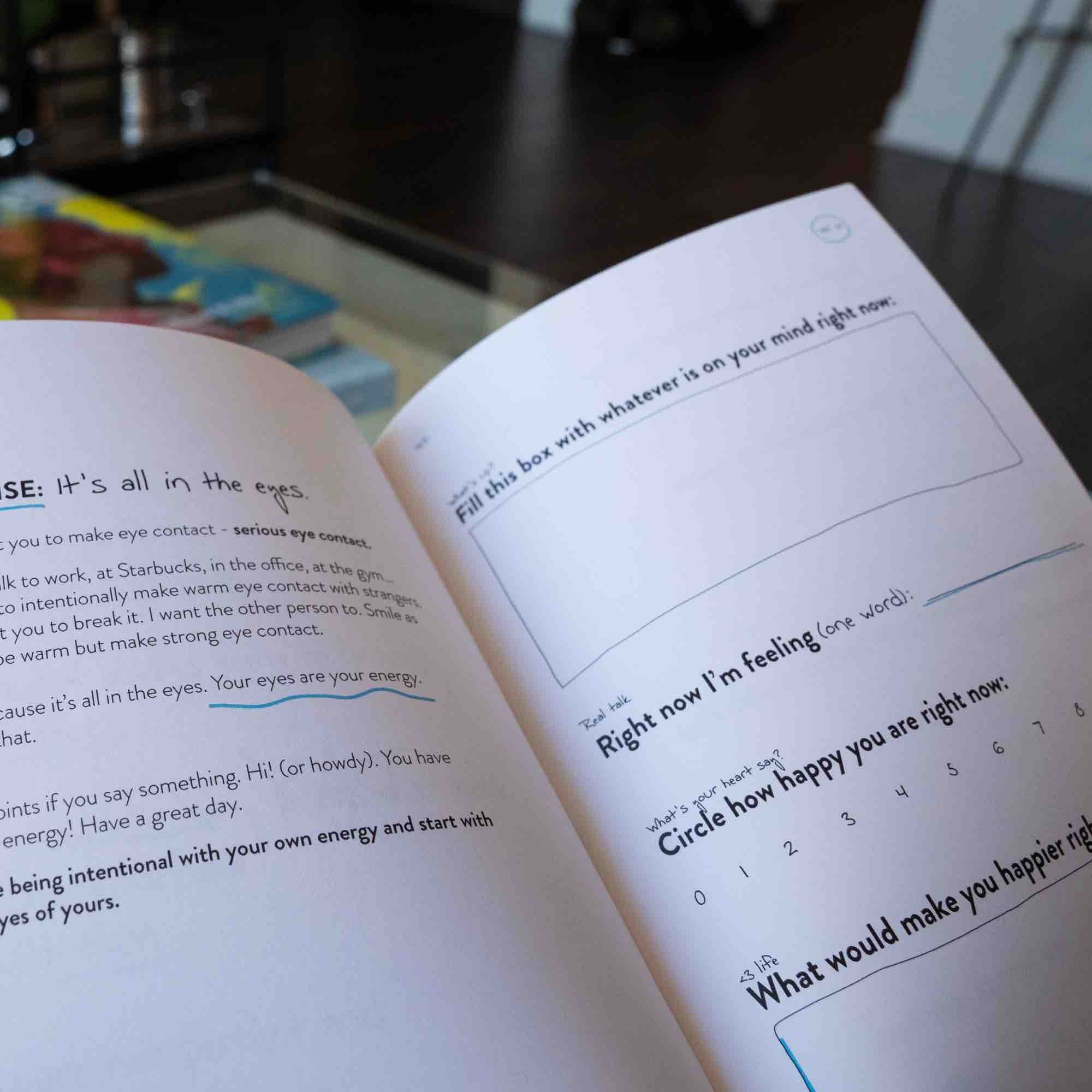 The 60 Day New Mindset Journal